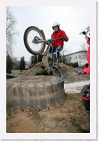 Img_7715 * 2336 x 3504 * (1.24MB)