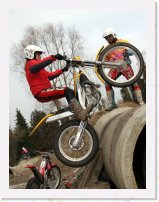 Img_7741 * 2331 x 3060 * (940KB)