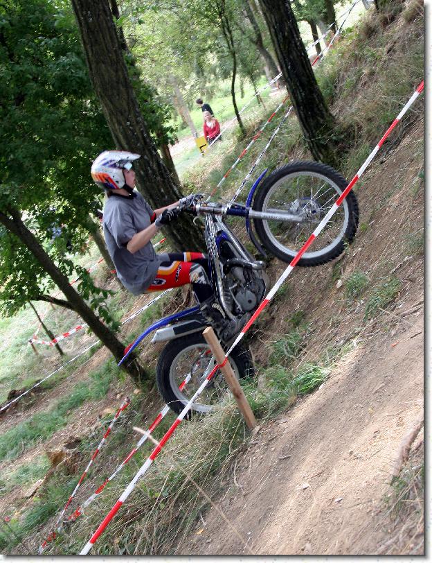 Nchstes Bild