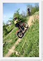 IMG_0493 * 2336 x 3504 * (3.67MB)