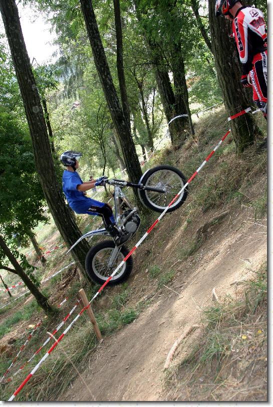 Nchstes Bild
